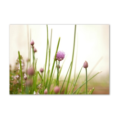 Acrylglas-Druck Schnittlauch