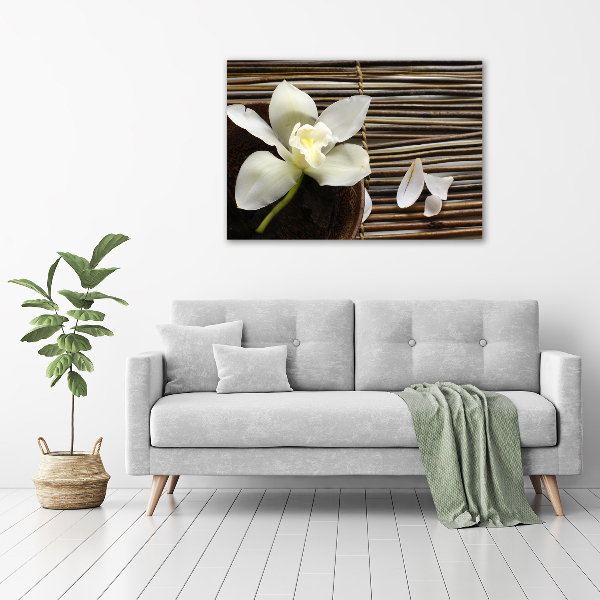 Foto auf Acryl Orchidee