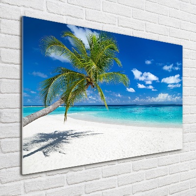 Foto auf Acryl Tropischer Strand