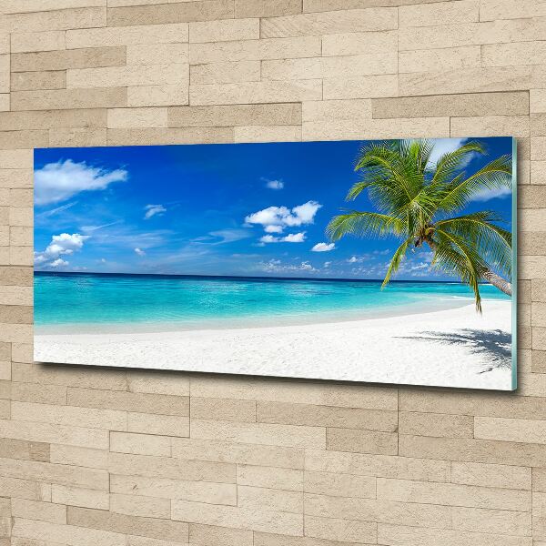 Foto auf Acryl Tropischer Strand