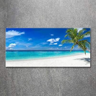 Foto auf Acryl Tropischer Strand