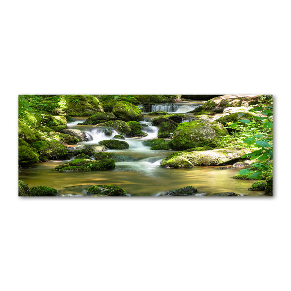 Acrylbild Fotodruck Wasserfall