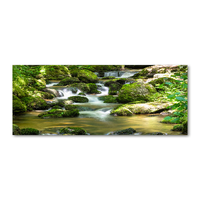 Acrylbild Fotodruck Wasserfall