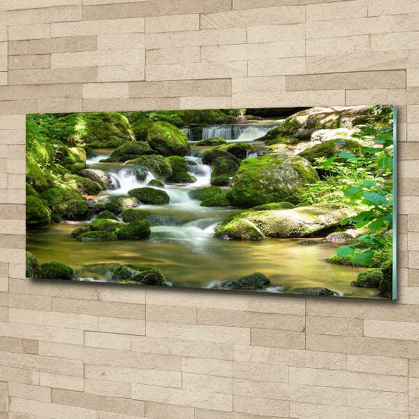 Acrylbild Fotodruck Wasserfall