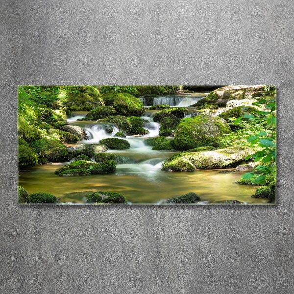 Acrylbild Fotodruck Wasserfall