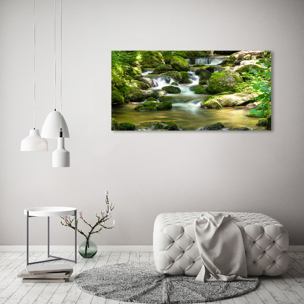 Acrylbild Fotodruck Wasserfall