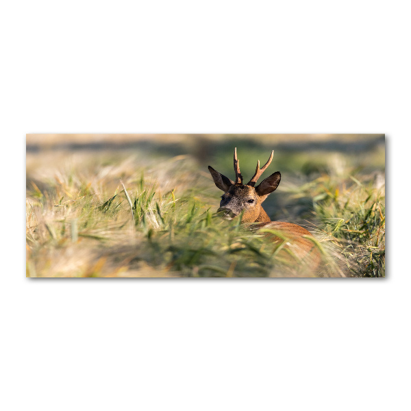Bild auf Acrylglas Hirsche im Feld