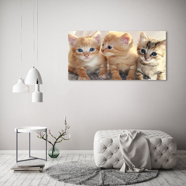 Acrylglas-Druck Kleine Katzen