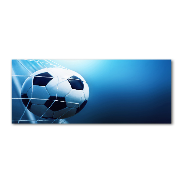 Bild auf Acrylglas Der Ball ist im Tor