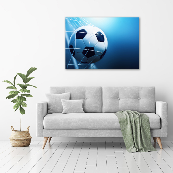 Bild auf Acrylglas Der Ball ist im Tor