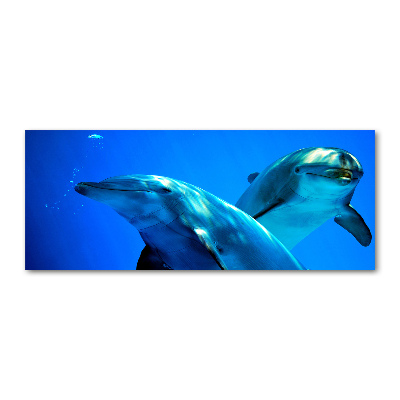 Foto auf Acryl Zwei Delfine