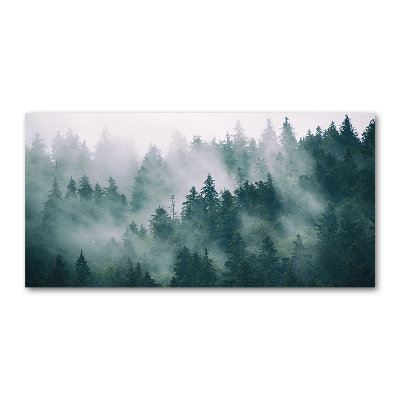Foto auf Acryl Nebel über dem Wald