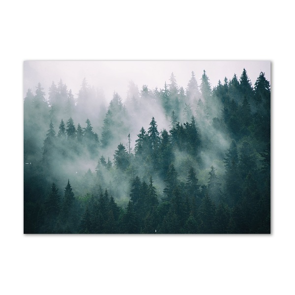 Foto auf Acryl Nebel über dem Wald
