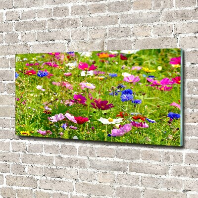Bild auf Acrylglas Wildblumen
