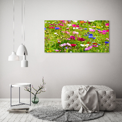 Bild auf Acrylglas Wildblumen