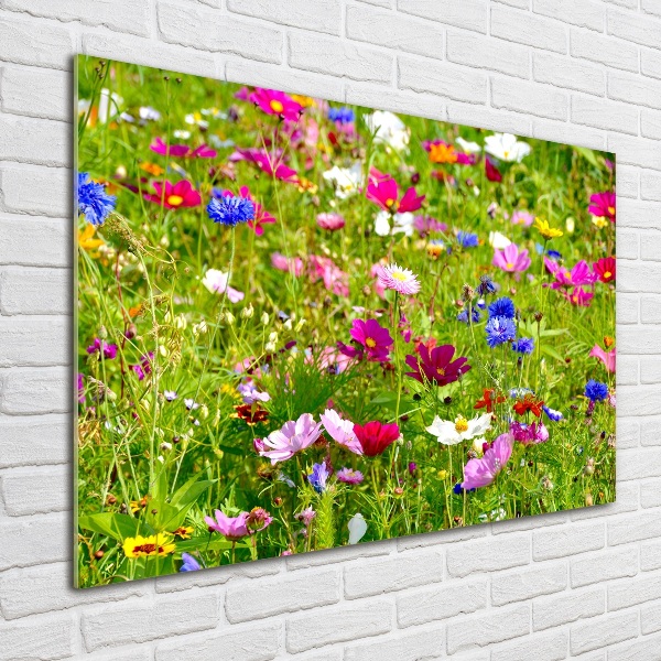 Bild auf Acrylglas Wildblumen