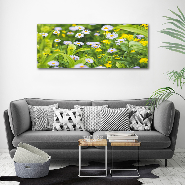 Acrylbild Fotodruck Gänseblümchen