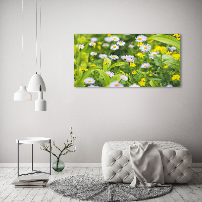 Acrylbild Fotodruck Gänseblümchen