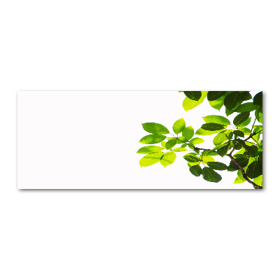 Acrylglas-Druck Blätter