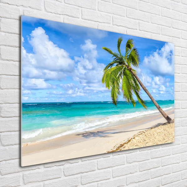 Acrylbild Fotodruck Tropischer Strand