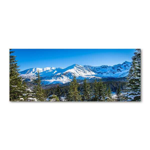 Acrylbild Fotodruck Panorama der Tatra-Berge