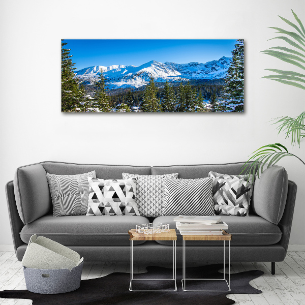 Acrylbild Fotodruck Panorama der Tatra-Berge