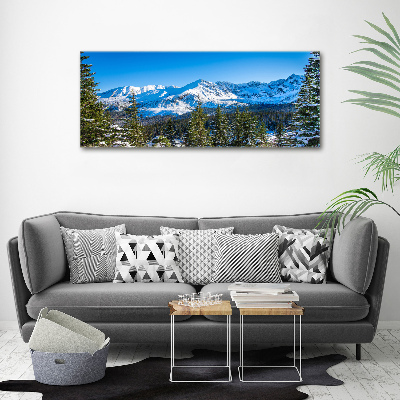Acrylbild Fotodruck Panorama der Tatra-Berge
