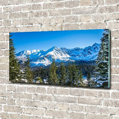 Acrylbild Fotodruck Panorama der Tatra-Berge