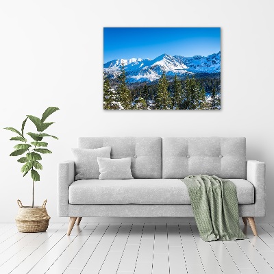 Acrylbild Fotodruck Panorama der Tatra-Berge
