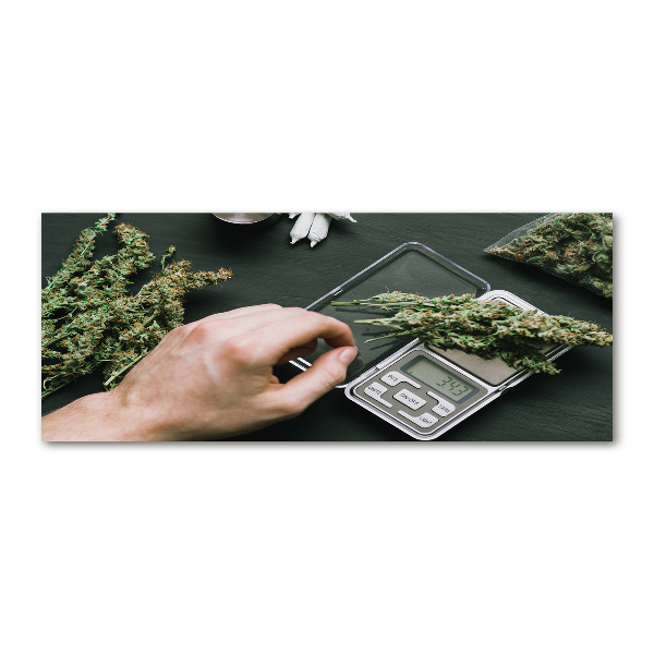 Acrylbild Fotodruck Marihuana-Blüten