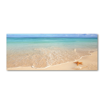 Acrylglas-Druck Seesterne am Strand