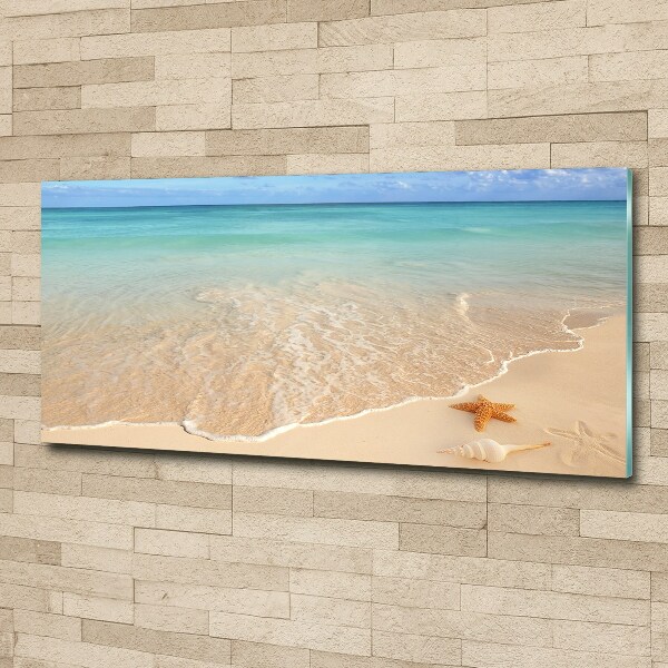 Acrylglas-Druck Seesterne am Strand