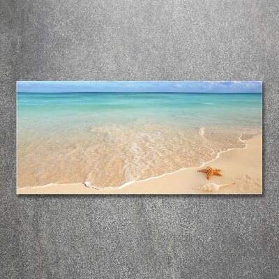 Acrylglas-Druck Seesterne am Strand