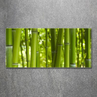 Bild auf Acrylglas Bambus