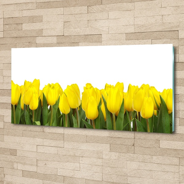 Acrylbild Fotodruck Gelbe Tulpen
