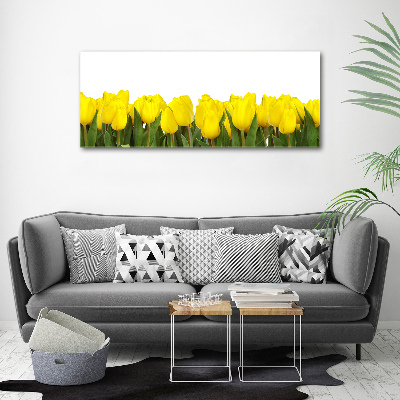 Acrylbild Fotodruck Gelbe Tulpen