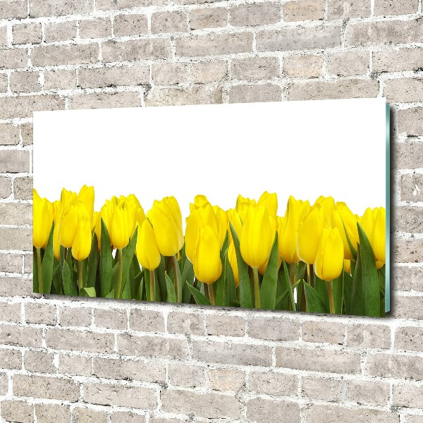 Acrylbild Fotodruck Gelbe Tulpen