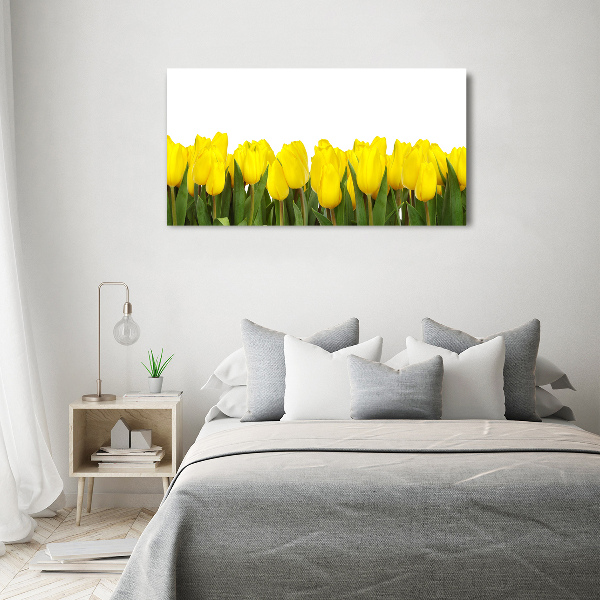 Acrylbild Fotodruck Gelbe Tulpen