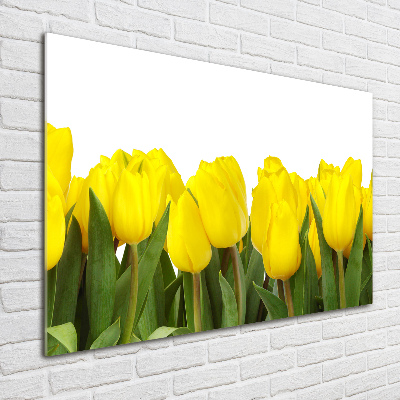Acrylbild Fotodruck Gelbe Tulpen