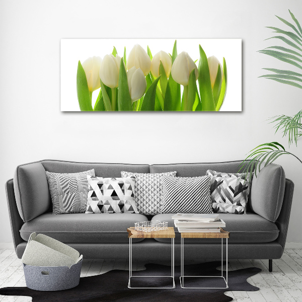 Foto auf Acryl Tulpen