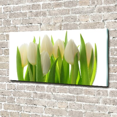 Foto auf Acryl Tulpen