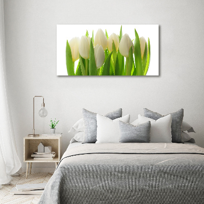 Foto auf Acryl Tulpen