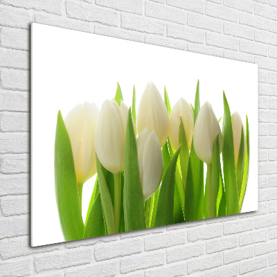 Foto auf Acryl Tulpen