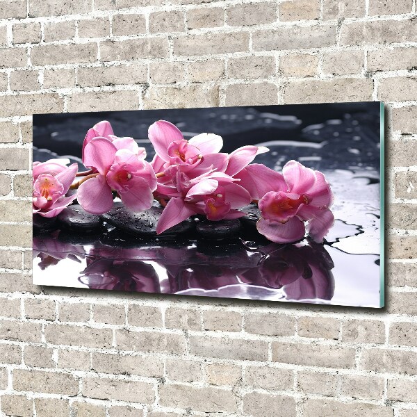 Bild auf Acrylglas Rosa Orchidee