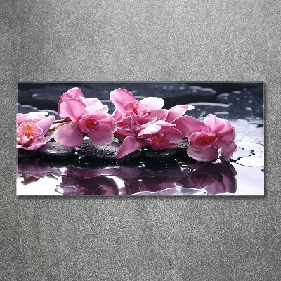 Bild auf Acrylglas Rosa Orchidee