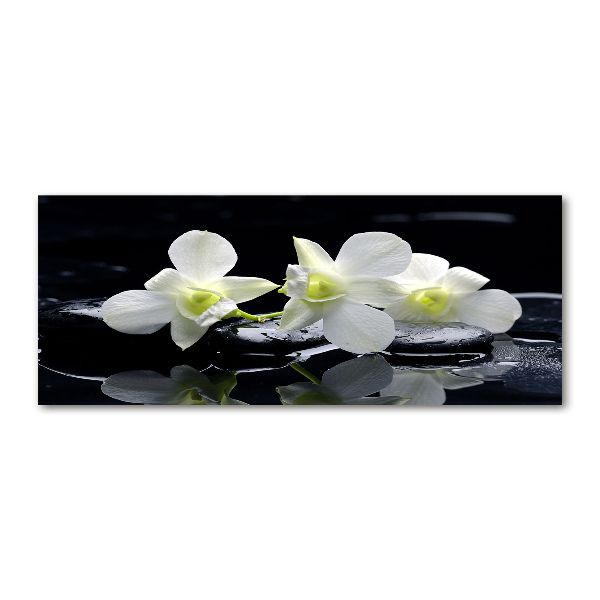 Acrylbild Fotodruck Orchidee