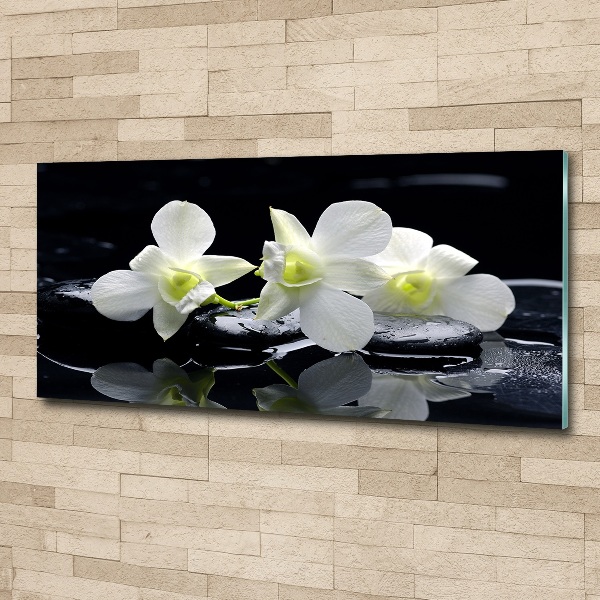 Acrylbild Fotodruck Orchidee