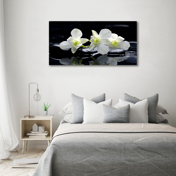 Acrylbild Fotodruck Orchidee