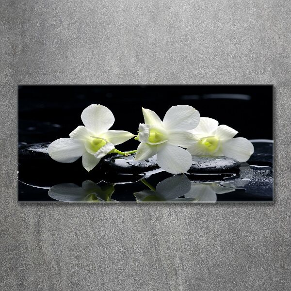 Acrylbild Fotodruck Orchidee