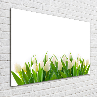 Acrylglas-Druck Weiße Tulpen